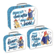 Load image into Gallery viewer, Paddington Carry Case - Triple Set