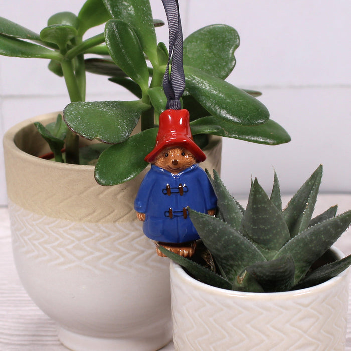 Small bear figurine in a blue coat and red hat hanging from a plant, with two potted plants in the background.