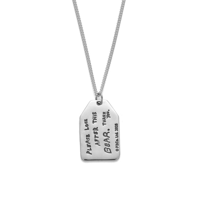 Silver necklace with a pendant on a white background