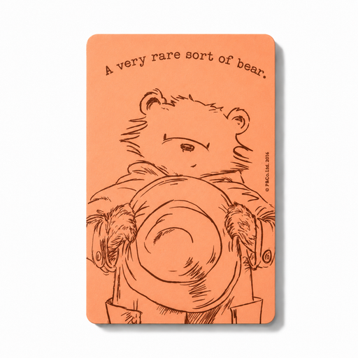 Magnet with bear illustration and text on orange cover