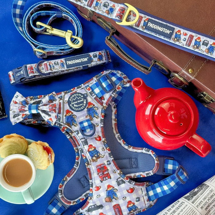 A flat-lay of Paddington-themed dog accessories on a bright blue background, including a harness, leash, and collar with blue-and-white gingham and red london bus motifs, alongside a brown suitcase, red teapot, cup of tea, and pastries.