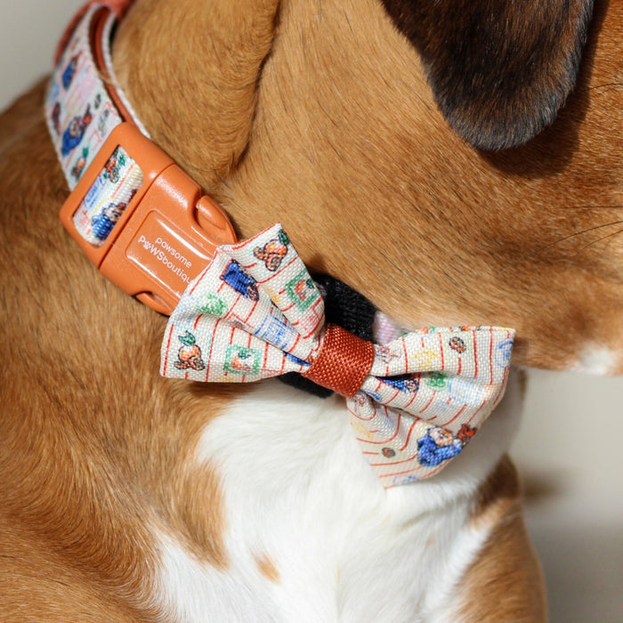 Brown and white dog wearing a collar and bow tie