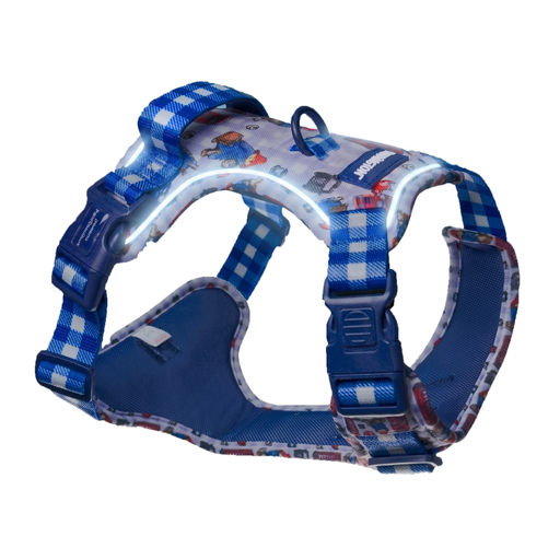A blue and white patterned dog harness with reflective trim and a light-up feature, shown on a plain white background.
