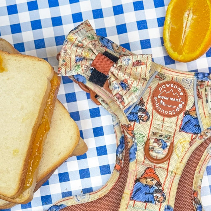 A dog harness laid flat on a blue-and-white checkered surface, styled with slices of toast and an orange slice. The harness has a multicolor cartoon print, a bow tie, and a circular patch reading 'Pawsome Paws Boutique Tough Trails'.