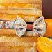 A close-up of a small fabric dog bow tie with a colorful illustrated pattern and orange-brown center, tied around a stack of sliced bread with orange jam, with whole and sliced oranges nearby on a warm brown background.