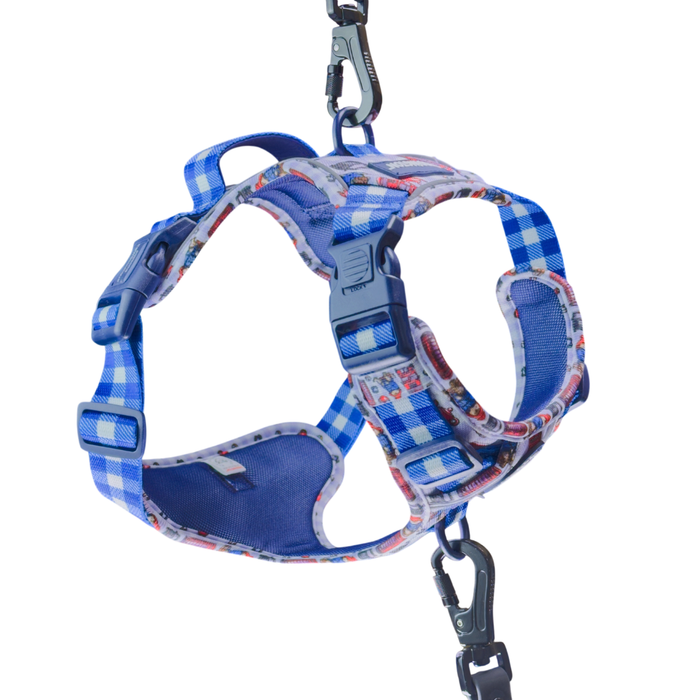 Blue and white gingham patterned dog harness with a gingham print on the inner straps and black metal carabiner clips for leash and D ring attachment, shown on a white background.