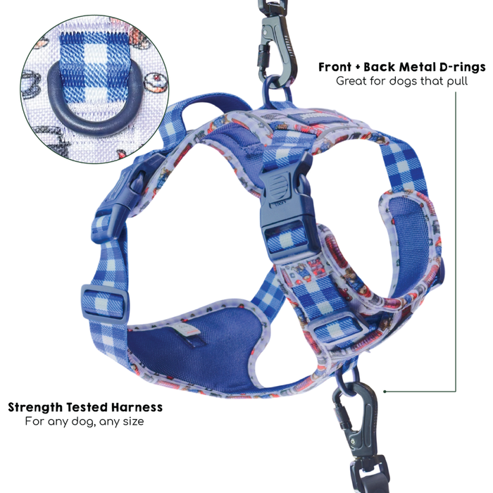 Blue and white gingham patterned dog harness with metal D-rings and a leash clip, shown on a white background with feature callouts and an inset close-up of the fabric pattern.