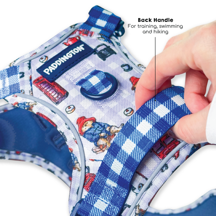 A close-up of a Paddington-themed harness being worn by a dog, with a hand adjusting the blue and white gingham strap. The harness features a white mesh base printed with Paddington bear illustrations and blue gingham accents.