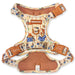 Dog harness with Paddington Bear pattern on a white background