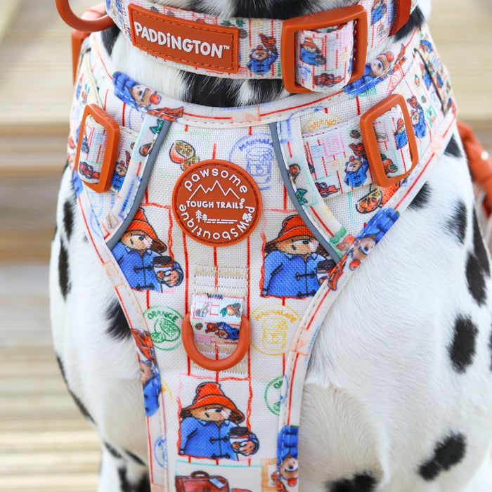Paddington x Pawsome Paws Dog Harness