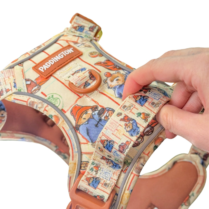 Paddington bear-themed dog harness being adjusted by a hand on a white background