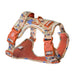 Dog harness with colorful pattern on a white background
