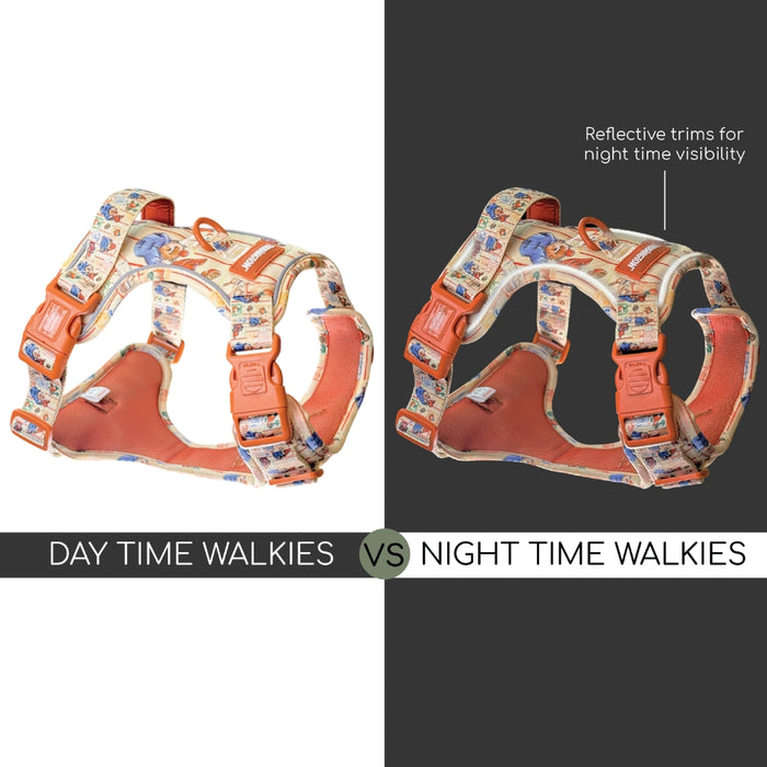 Dog harness with day time and night time visibility features on a white and black background.