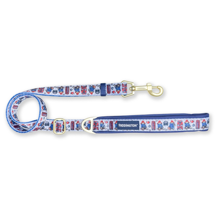 A dog leash with a blue handle and a matching flexible strap, featuring a repeating pattern of cartoon Paddingtons in blue duffle coats. The leash has gold-tone metal hardware, including a snap hook and D-ring, and the brand name 'PADDINGTON' is printed on the handle.