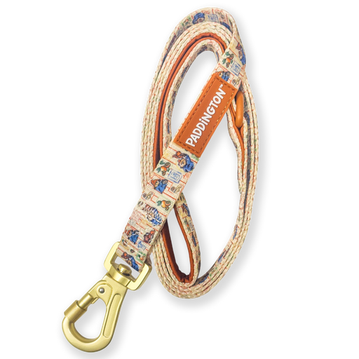 Dog leash with 'Paddington' branding on a white background