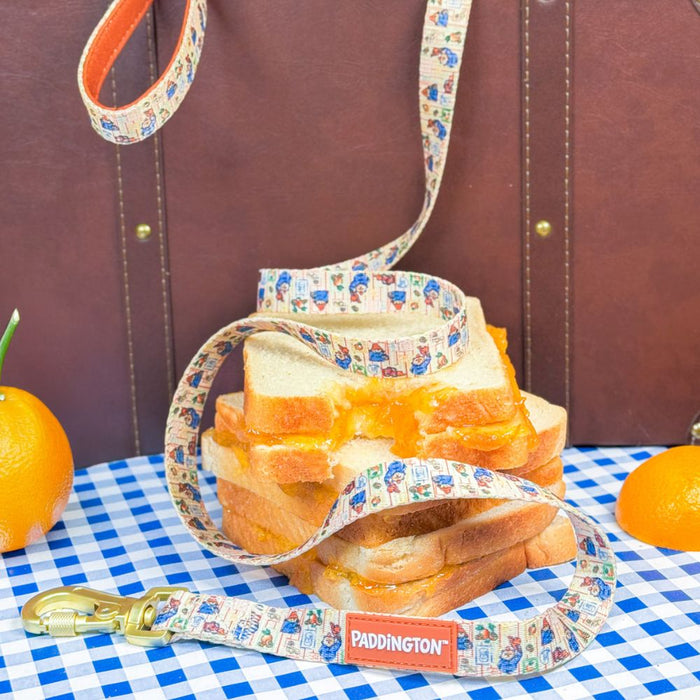 A patterned dog leash with a gold clasp and a orange Paddington brand tag, draped over a stack of bread slices with orange marmalade filling. The scene is styled on a blue-and-white checkered tablecloth with oranges and a brown leather suitcase in the background.