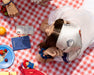 Person lying on a red and white checkered picnic blanket wearing a paddington scarf, a navy blue scrunchie, surrounded by snacks and a phone.