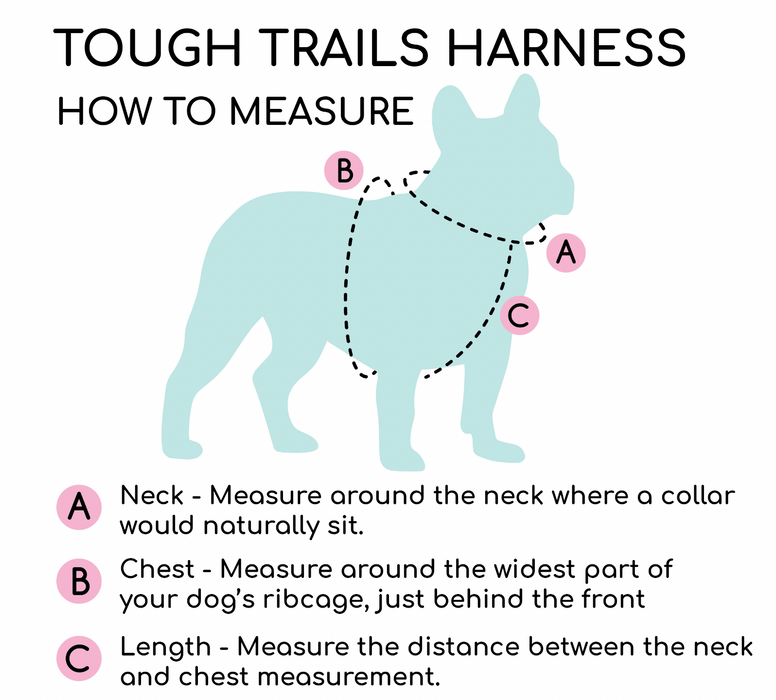 Diagram showing how to measure a dog for a Tough Trails harness.