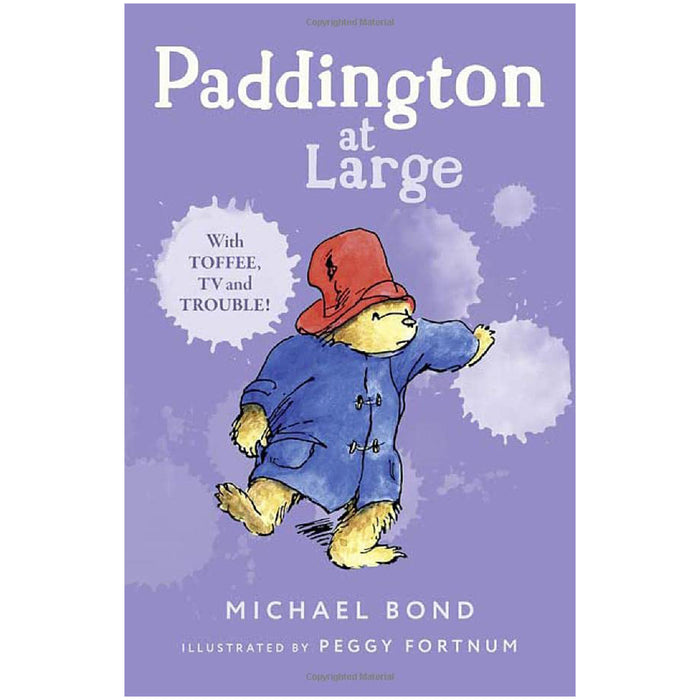 Paddington At Large
