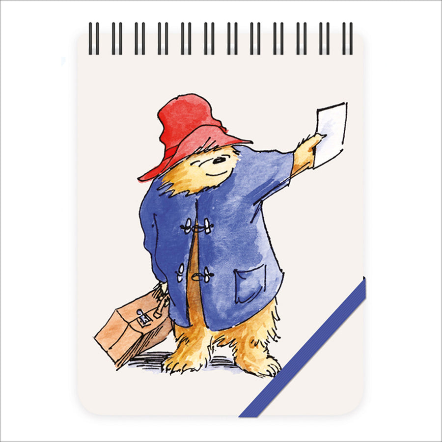 paddington bear reporter notebook